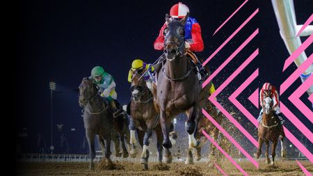 Channel 1(Encrypted Multiaudio) | Dubai World Cup | 25    2024